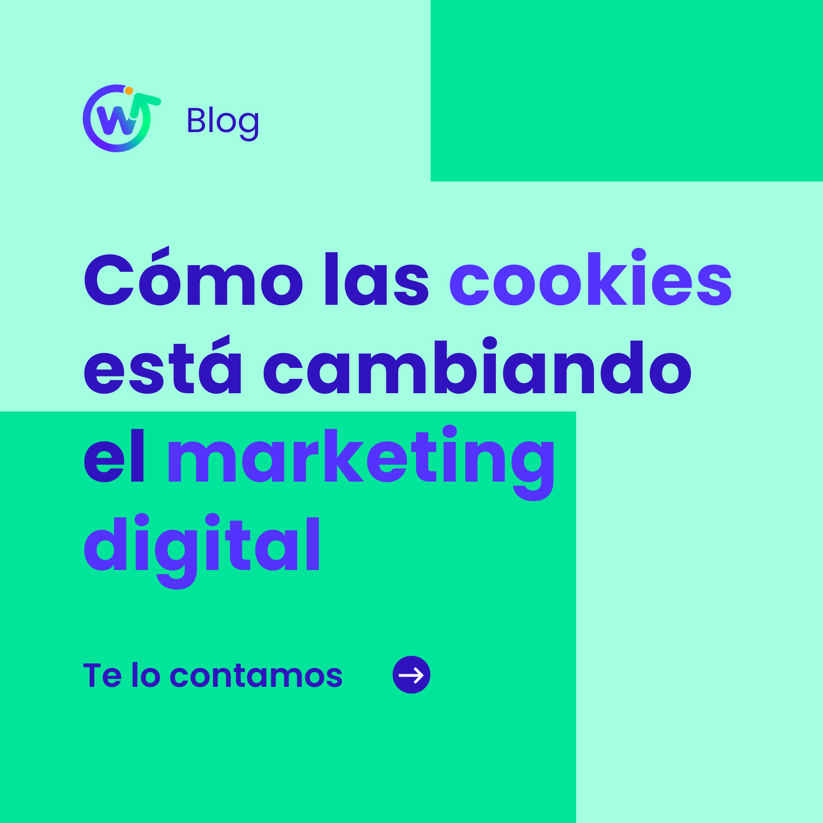 Cómo las cookies están cambiando la publicidad online y el marketing digital