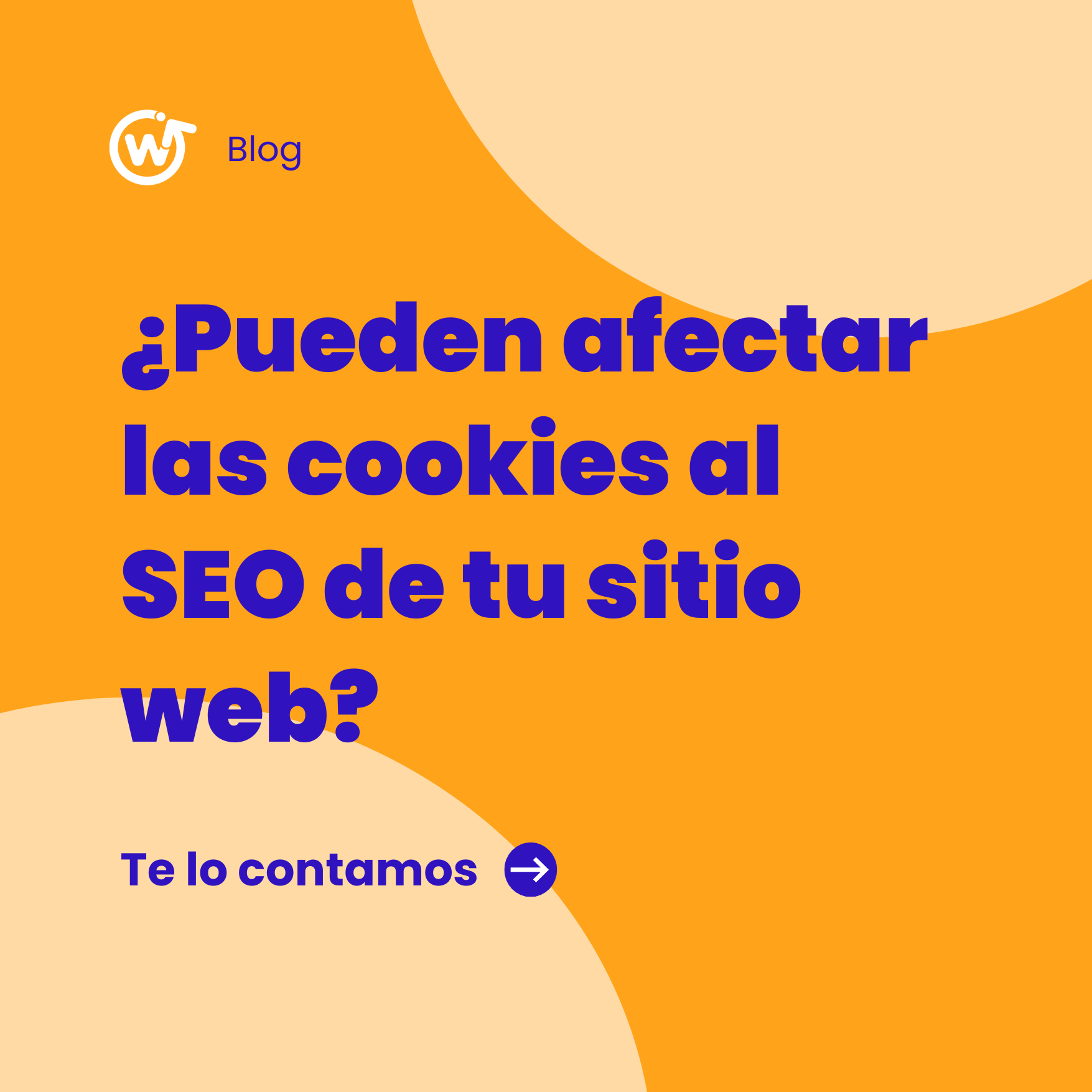 ¿Afectan las Cookies al SEO de tu sitio web?