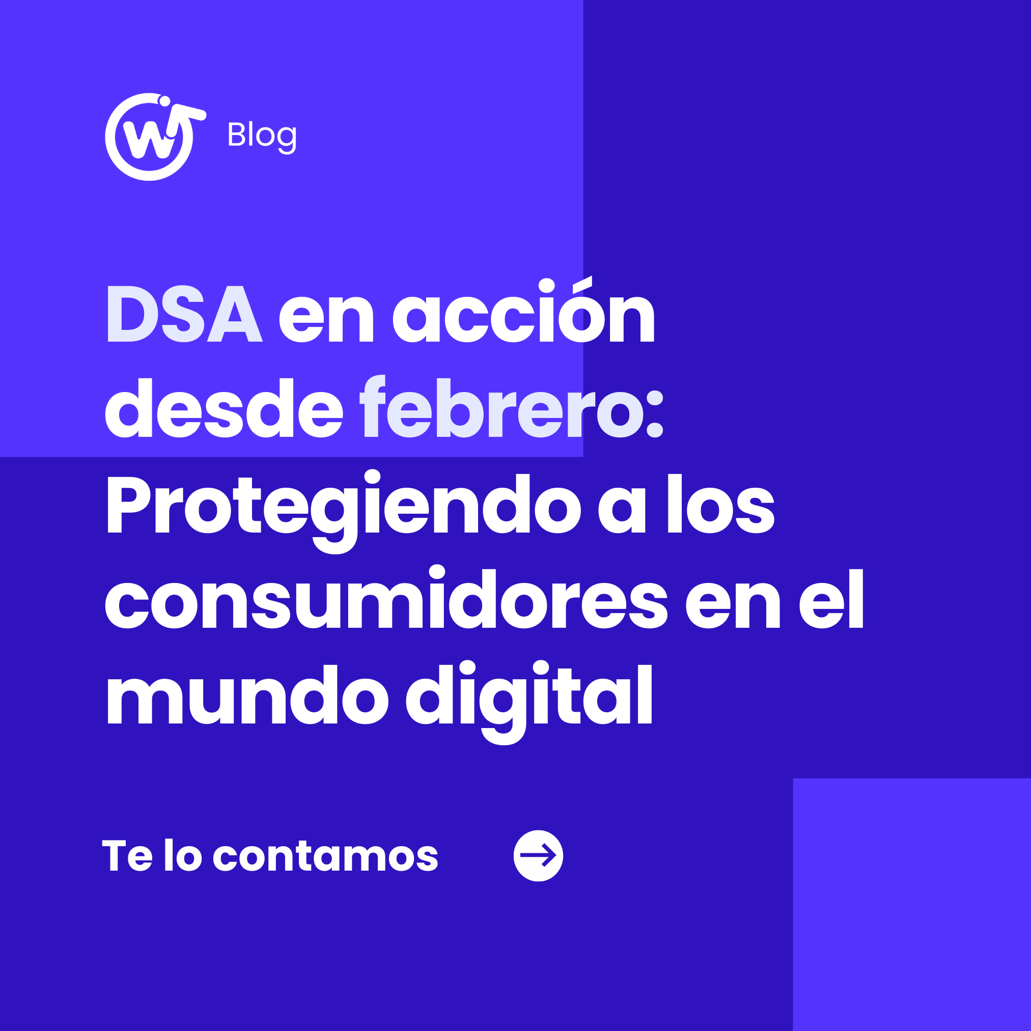 DSA en acción desde febrero: protegiendo a los consumidores en el mundo digital