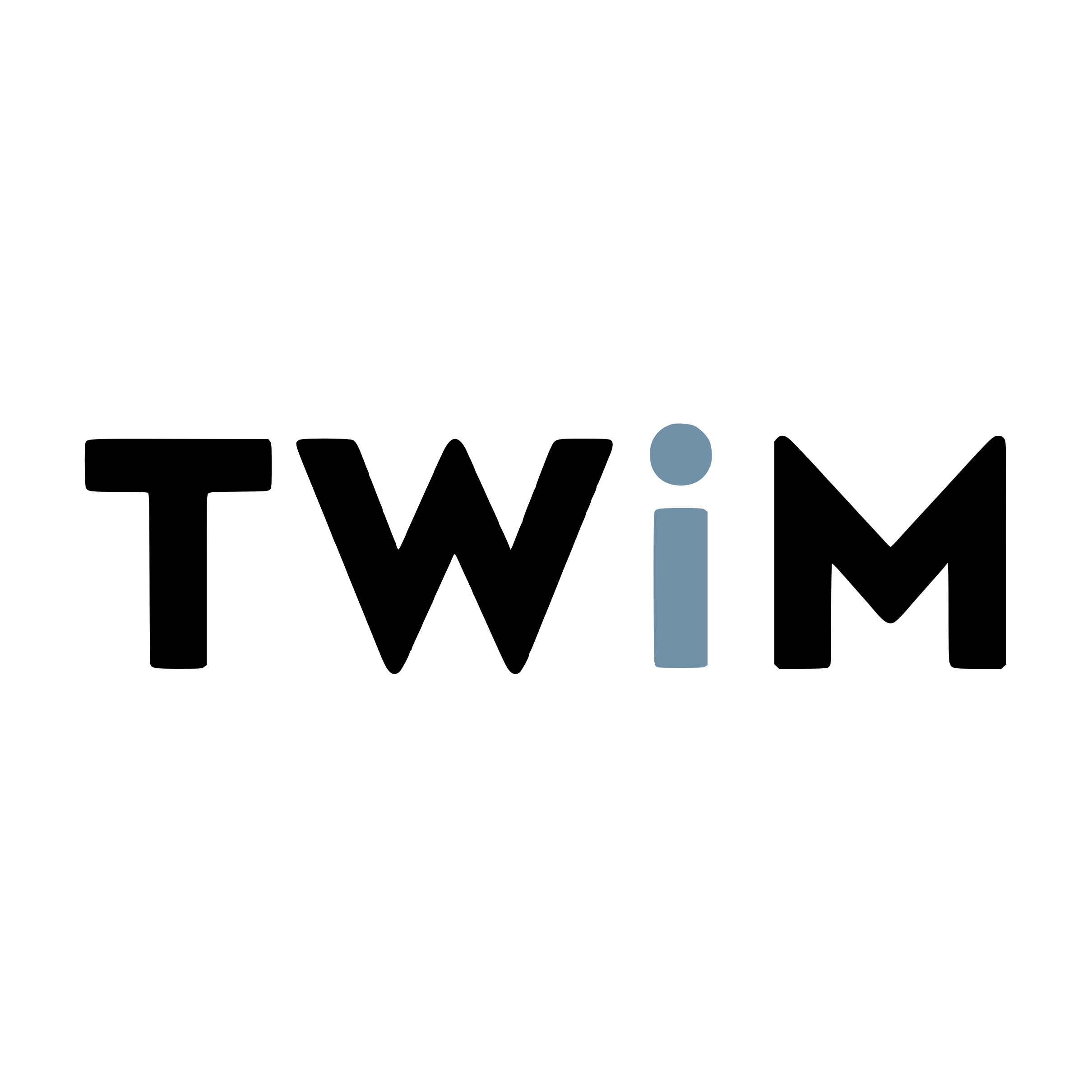 Twim.Es logo